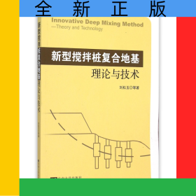 新型攪拌樁復(fù)合地基理論與技術(shù)