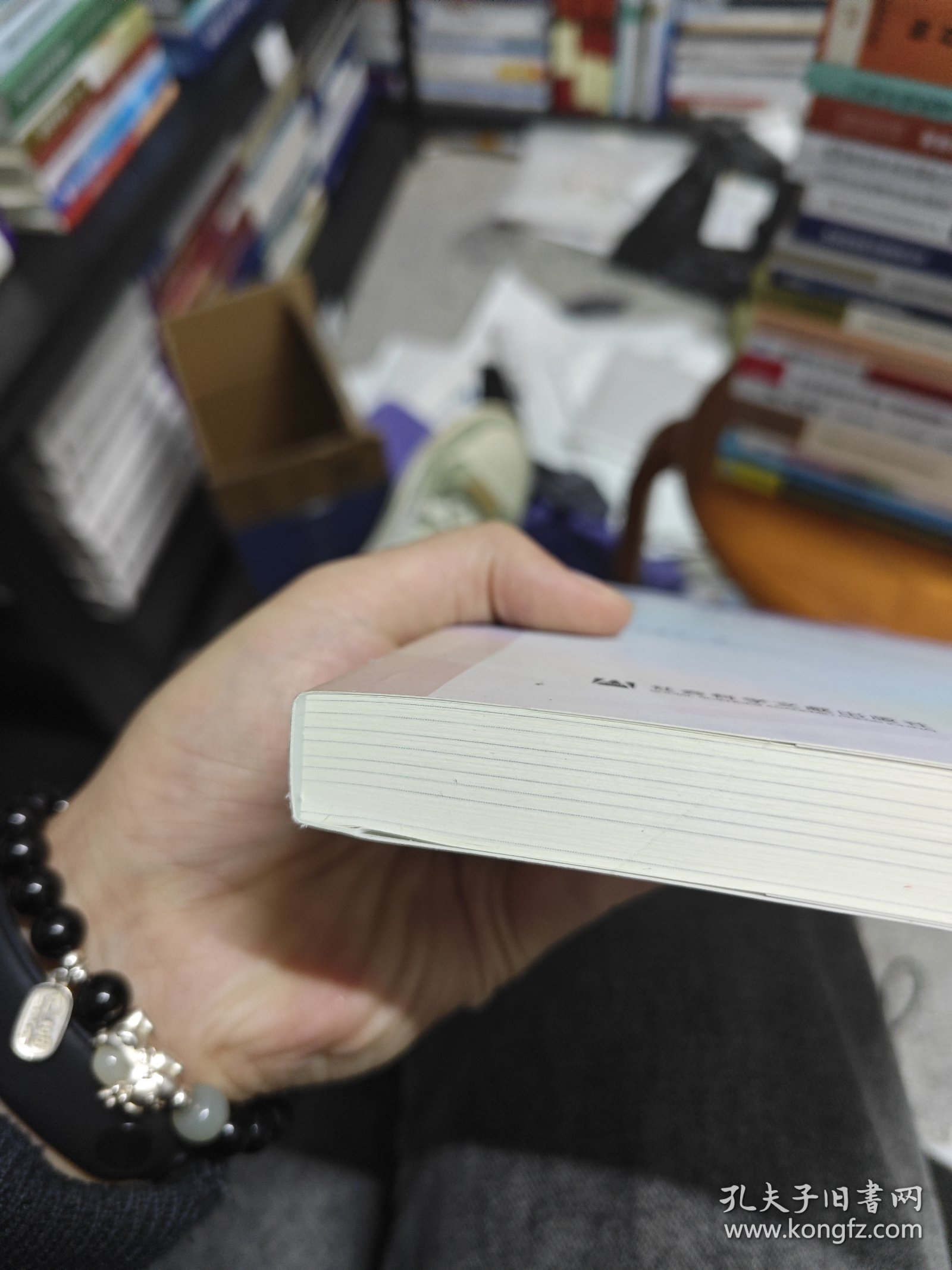 网络犯罪国际立法原理/网络空间国际法文库