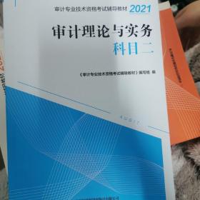 审计理论与实务科目二