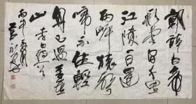 袁永群 书法 软片 136×68厘米
