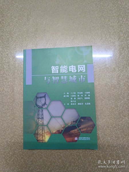 智能电网与智慧城市