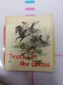彩色大开外文版连环画追踪