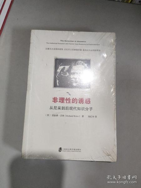 非理性的诱惑:从尼采到后现代知识分子