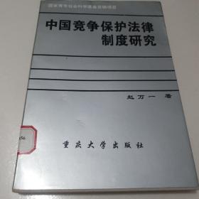 中国竞争保护法律制度研究