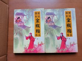 绘图评点金瓶梅全传