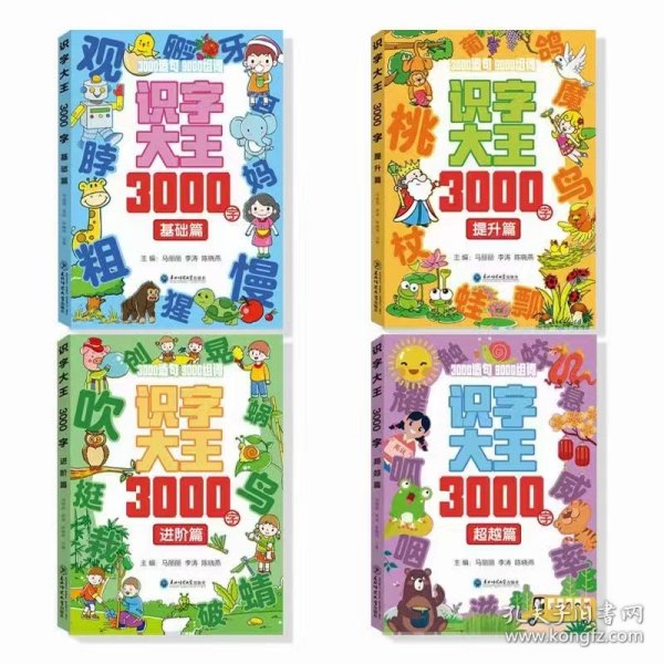 识字大王3000字(全4册)