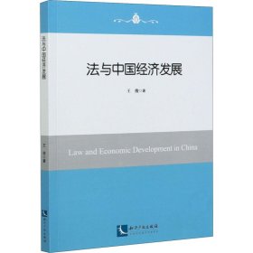 法与中国经济发展
