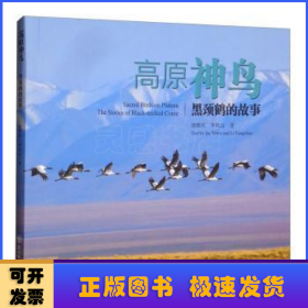 高原神鳥(黑頸鶴的故事)