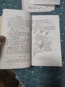 中药学讲义