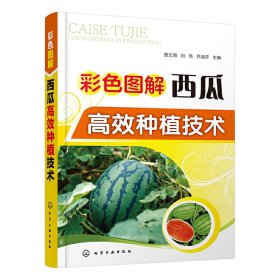 正版 彩色图解西瓜高效种植技术 贾文海，刘伟，乔淑芹 主编 9787122357830