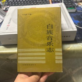白族音樂志
