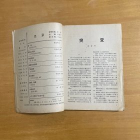 中篇小说选刊 1990年6