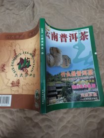 2005云南普洱茶·春
