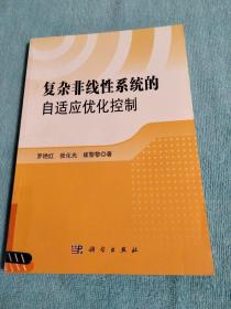 复杂非线性系统的自适应优化控制