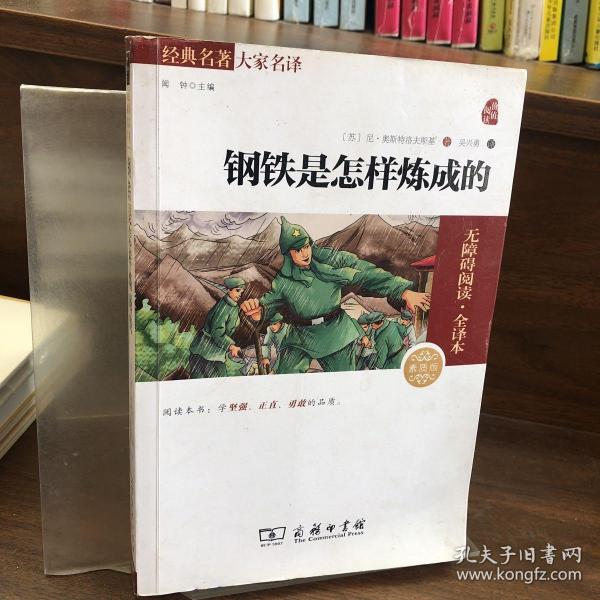 经典名著 大家名译：钢铁是怎样炼成的（无障碍阅读 全译本 素质版）