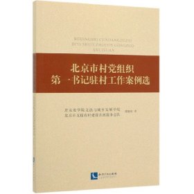 北京市村党组织第一书记驻村工作案例选