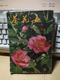 茶花女