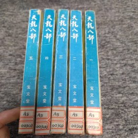 天龙八部（1——5）全五册