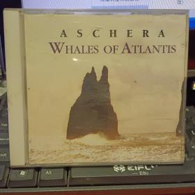 光盘  ASCHERA WHALES OF ATLANTIS 【图片为实拍图，实物以图片为准！】碟片  【放在仓库： 2022年2月8日 书店二楼69号书架】亚特兰蒂斯的阿斯切拉鲸 辽宁文化艺术音像出版社