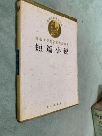 鲁迅文学奖获奖作品丛书：短篇小说