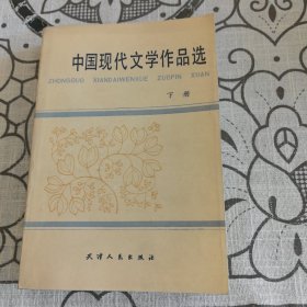 中国现代文学作品选 下册