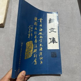 首届海峡两岸及港澳地区疑难病特色疗法研讨会论文集