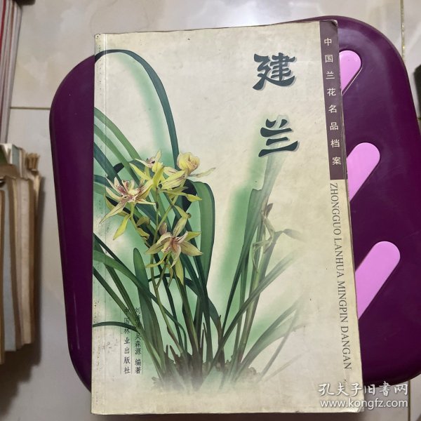 中国兰花名品档案：建兰