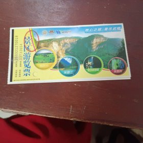 重庆武喀斯特旅游区天生三桥观光车票全票15元