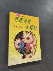 養(yǎng)花觀賞小絕招