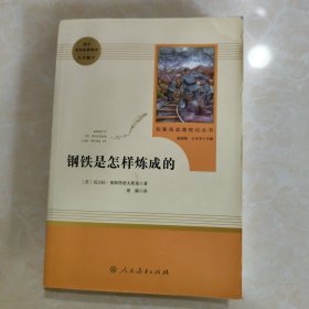 统编语文教材配套阅读 八年级下：钢铁是怎样炼成的/名著阅读课程化丛书