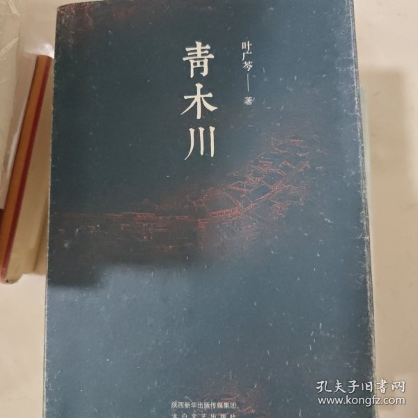 《青木川》修订版