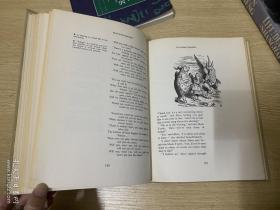 The Annotated Alice:Alice‘s Adventures in WonderLand，Through the looking glass   刘易斯·卡罗尔《爱丽丝漫游奇境记》《爱丽丝镜中奇遇记》集注，著名插画家John Tenniel插图， 精装大16开，重超1公斤，1960年老版书