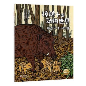 椋鸠十的动物世界(全5册)