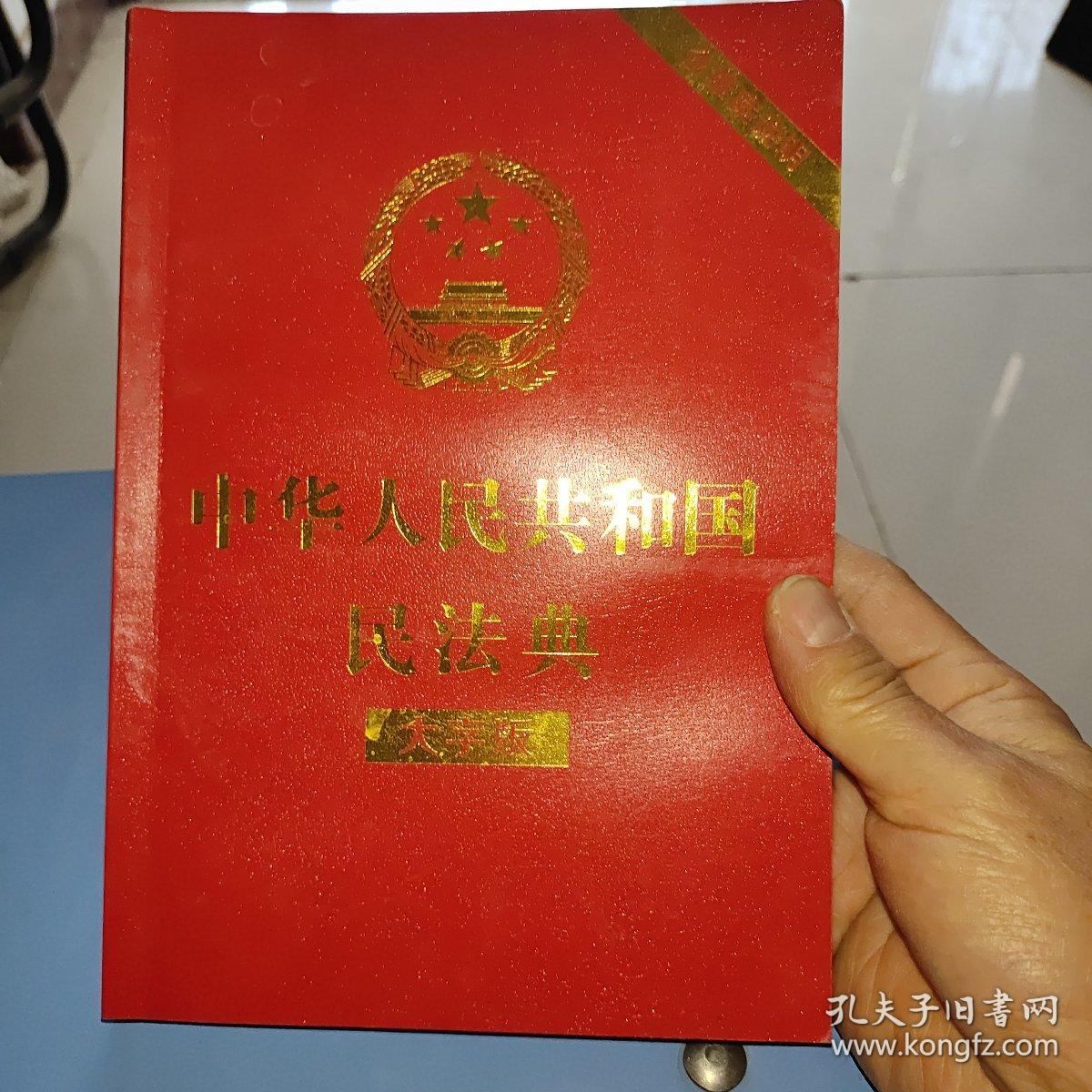 中华人民共和国民法典 大字版，含草案说明