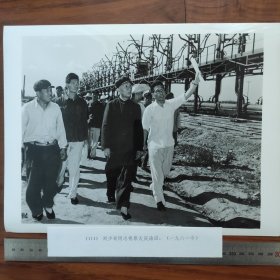 超大尺寸：1961年，刘少奇视察大庆油田，右为石油工业部副部长康世恩（袋1263--114号）