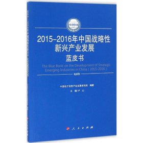 2015-2016年中国战略性新兴产业发展蓝皮书卢山9787010165103