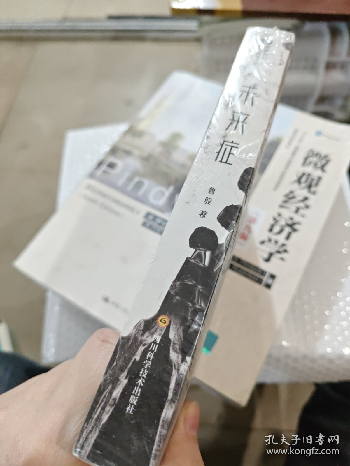 未来症/鲁般