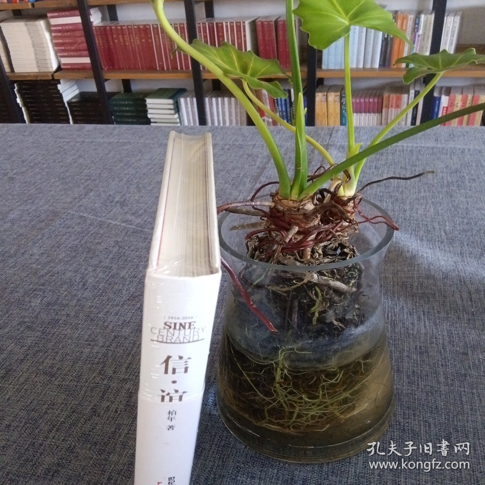 点击查看原图 A7 信.谊(从百年品牌发展历程看西药的中国式成长)