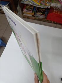 未来领袖CEO  培养协调力 最棒的绰号 正版精装