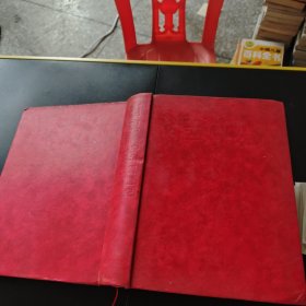 國(guó)魂：中華新世紀(jì)興國(guó)英才傳略