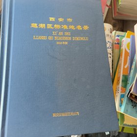 西安市莲湖区标准地名志2018版