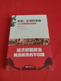 辛亥·计划外革命：1911年的民生与民声