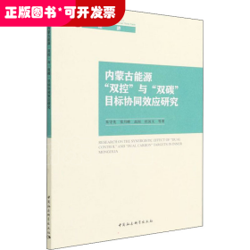 内蒙古能源“双控”与“双碳”目标协同效应研究