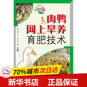 肉鸭网上旱养育肥技术