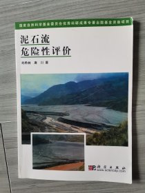 泥石流危險性評價