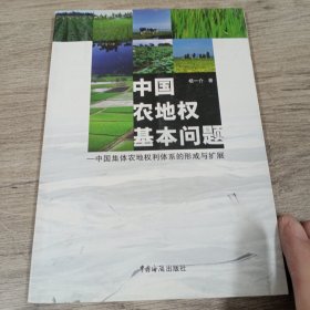 中国农地权基本问题:中国集体农地权利体系的形成与扩展