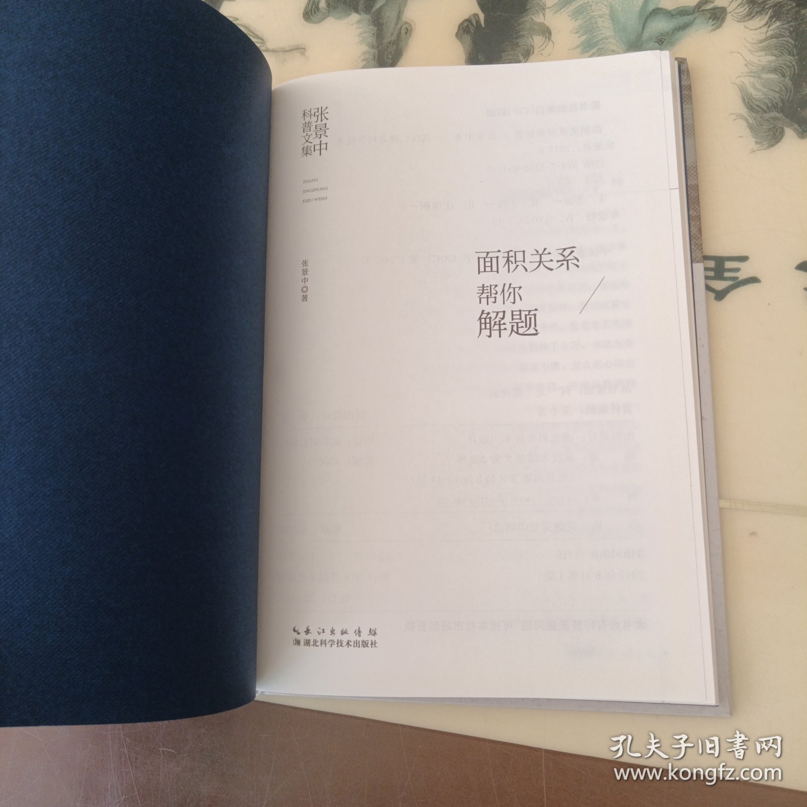 张景中科普文集：面积关系帮你解题