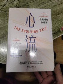 心流：自我进化心理学