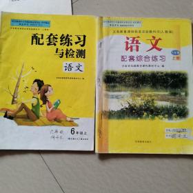 6年级上册语文配套练习与检测，8年级上册语文配套综合练习