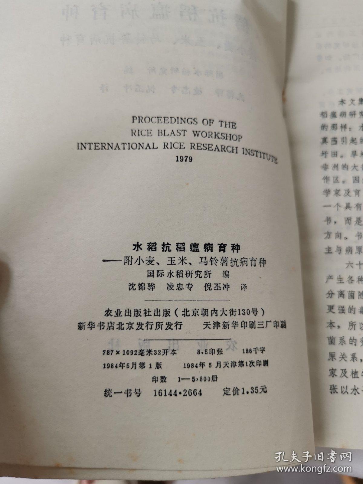 水稻抗稻瘟病育种——付小麦，玉米，马铃薯抗病育种